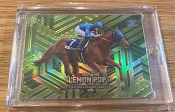 61DKxfv+vBL._AC_UF350, 61DKxfv+vBL._AC_UF350,